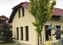 Zobacz